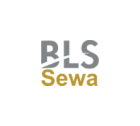BLS E-Services Ltd Ipo