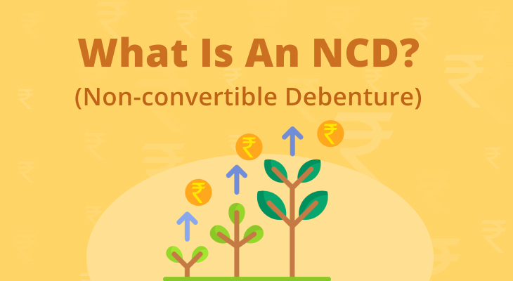 What Is Non Convertible Debenture