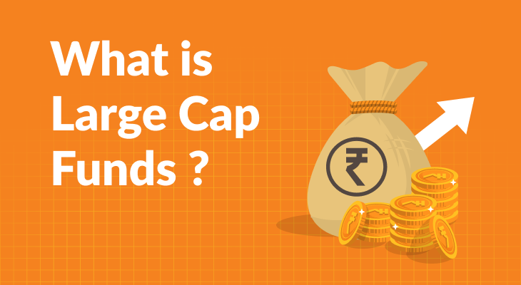 What Is Large Cap Fund